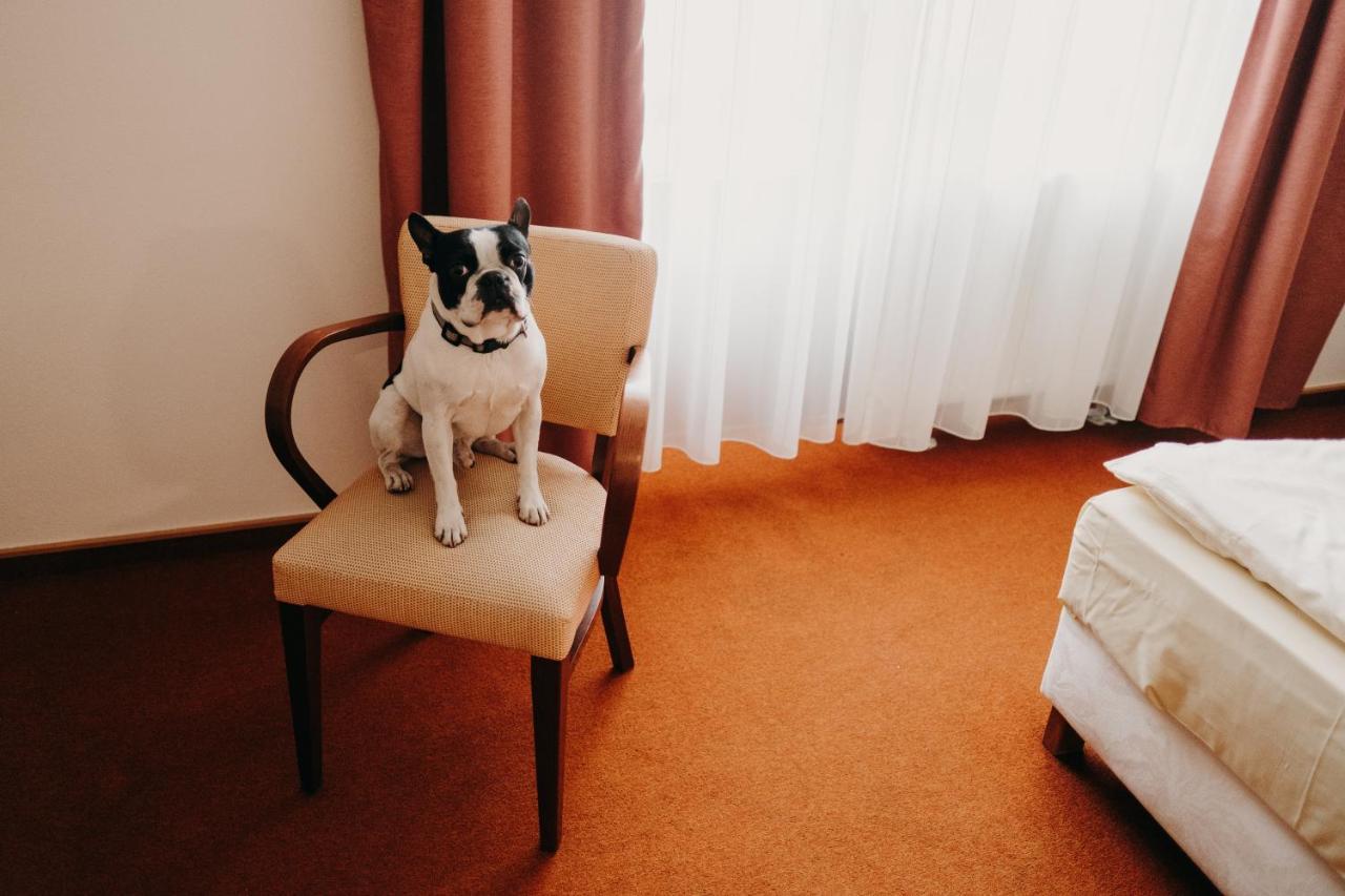 Golf Hotel Austerlitz Zewnętrze zdjęcie